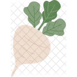 Radish  Icon