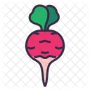 Radish  Icon