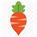 Radish Beet Turnip Icon