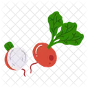 Fruit Fruits Vegetables Icon