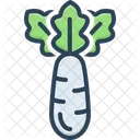 Radish Raphanus Sativus Daikon Icon