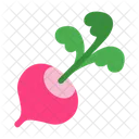 Radish Vegetable Food Icon