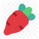 Radish Vegetable Organic Icon