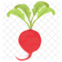 Radish Leaves Food Icon
