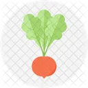Radish Salad Cooking Icon