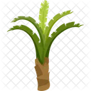 Raffia Palm Palm Tree Beach Icon