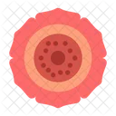 Rafflesia  Icon