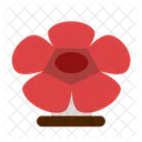 Rafflesia Flower Icon