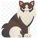 Ragamuffin Cat  Icon
