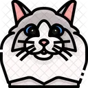 Ragdoll Cat Cat Face Icon