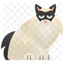 Ragdoll Cat Icon