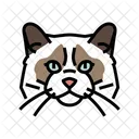 Ragdoll Cat Ragdoll Cat Symbol
