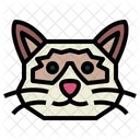 Ragdoll Cat Cat Breeds Icon