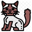 Ragdoll Cat Icon