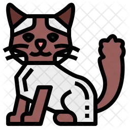 Ragdoll Cat  Icon