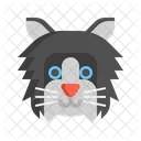 Ragdoll Cat Pet Cat Cat Icon