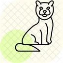 Ragdoll Cat Ragdollcat Cat Icon