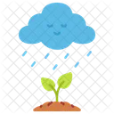 Ecology Rain Tree Icon