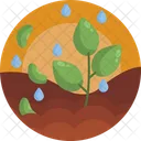 Nature Rain Plant Icon