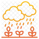 Rain Weather Cloud Icon