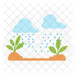 Rain Plant  Icon
