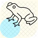 Rainette Rainette Amphibien Icône