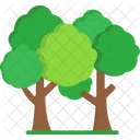 Rainforest Nature Forest Icon