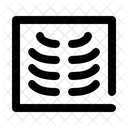 Rontgen Lateral Osteologia Ícone