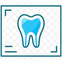 Radiografia Dentaria Ícone