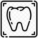 Raio X Do Dente Odontologia Estomatologia Ícone