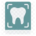 Estrutura Odontologica Habilidades Clinicas Atendimento Ao Paciente Ícone