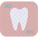 Radiografia dentária  Ícone