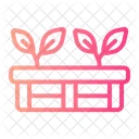 Raised Bed Sprout Icon