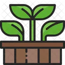 Raised Bed Plant Icon