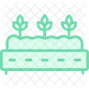 Raised Beds Raised Beds Icon