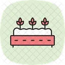 Raised Beds Raised Beds Icon
