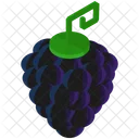 Raisin Fruit Sain Icon