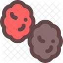 Raisin Fruit Dry Icône