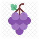 Automne Berry Automne Icon