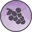 Raisins Raisin Fruits Icon