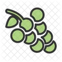 Raisins Raisin Fruits Icon