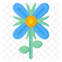 Raketenblume  Symbol