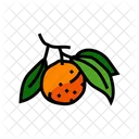 Rama naranja  Icon