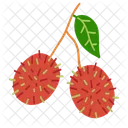 Fruits Fruits Legumes Icon