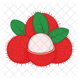 Rambutan  Symbol