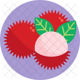 Rambutan  Icon