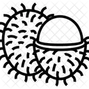 Rambutan Fruta Sano Icono