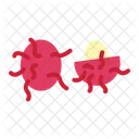Rambutan Fruit Rambutan Sumatran Icon