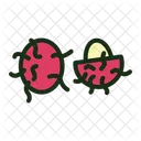 Rambutan Fruit Rambutan Sumatran Icon