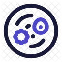 Ramen Noodles  Icon